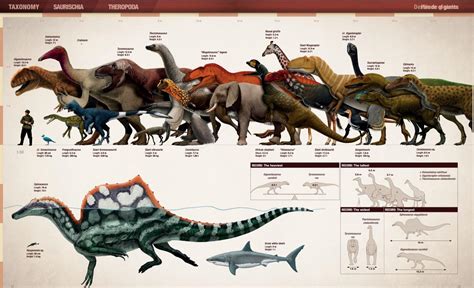 A dinosaur size comparison : Naturewasmetal