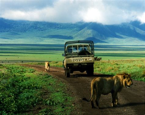 Visit Ngorongoro crater | Tanzania wildlife Safaris | Tanzania Tours