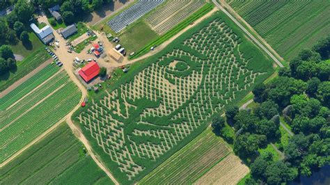 Inside The Surprisingly High-Tech World Of Corn Mazes