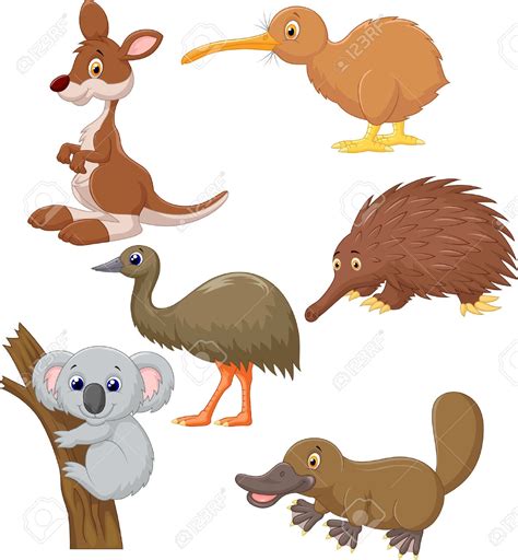 Native wildlife clipart 20 free Cliparts | Download images on Clipground 2024