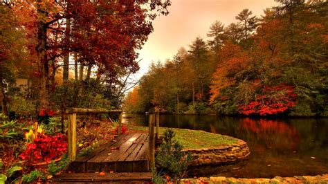 Body Of Water Surrounded By Autumn Fall Trees 4K HD Nature Wallpapers | HD Wallpapers | ID #61545