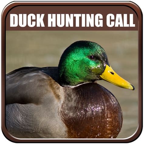 Duck Hunting Calls Pro by ibad ur rahman