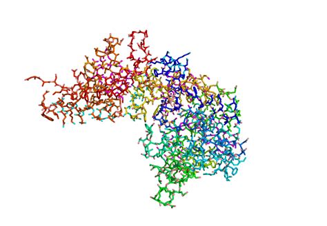 DNA Ligase: DNA Ligase Pymol Representations