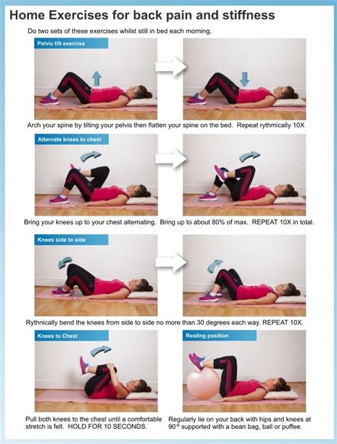 fitneAss | Back Pain Exercises You Can Perform At Home