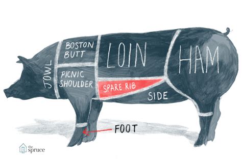 Pork Meat Diagram