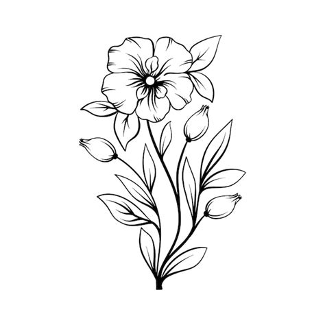 Single Flower Drawing Images - Free Download on Freepik