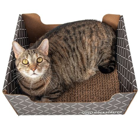 Hide & Scratch Extra-Large Cat Scratcher Box