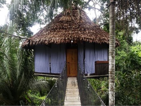 Stay in the Amazon jungle canopy at the unique Treehouse Lodge