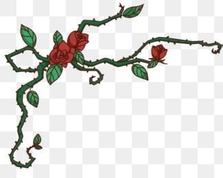 Rose Vines PNG Transparent Images Free Download | Vector Files | Pngtree