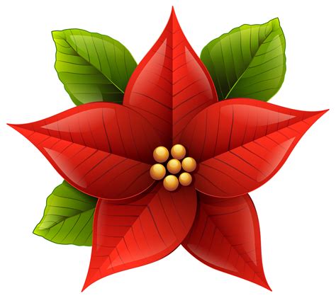 Free Poinsettia Flower Cliparts, Download Free Poinsettia Flower Cliparts png images, Free ...