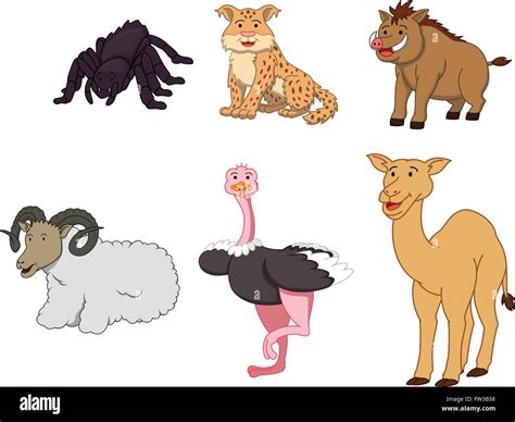 Desert Animals Cartoon