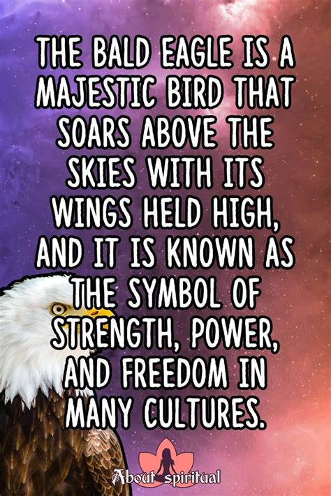 Bald eagle symbolism meaning – Artofit