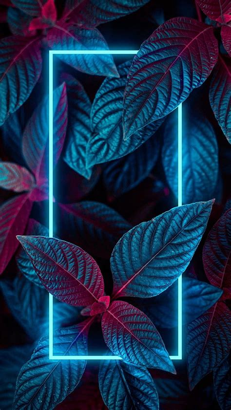 Paper walls neon plants. iPhone , Phone , Galaxy , Cool Neon Phone HD phone wallpaper | Pxfuel