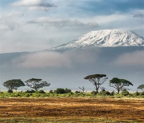 Climate Zones on Mount Kilimanjaro | Peak Planet