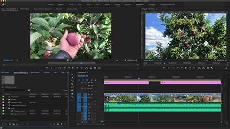 Adobe Premiere Pro: Biên tập video chuyên nghiệp và đa năng. - Zozoship