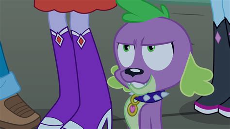 Image - Dog Spike annoyed EG.png | My Little Pony Friendship is Magic Wiki | Fandom powered by Wikia