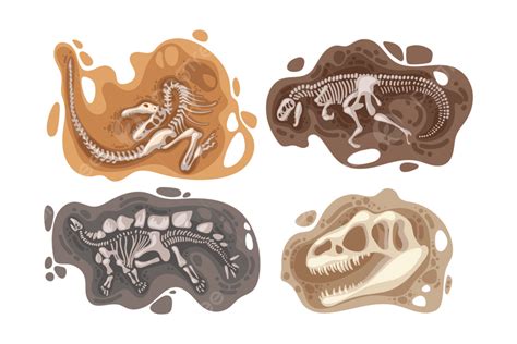 Dinosaur Fossils Vector Png Vector Psd And Clipart With Transparent | The Best Porn Website