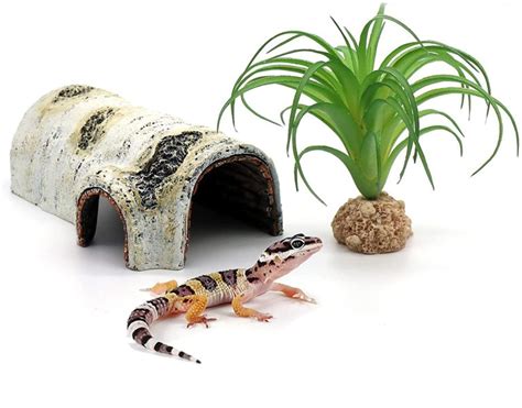 12 Best Leopard Gecko Hides to Purchase! (An Expert's Guide)