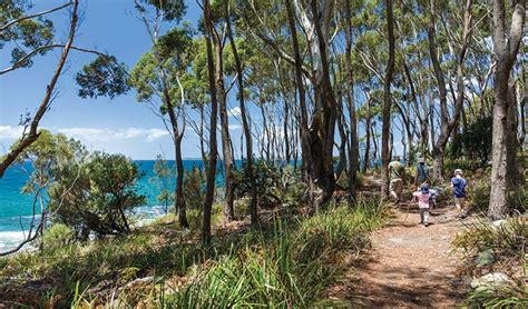 Jervis Bay National Park | NSW National Parks