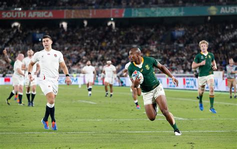 Scenes of joy as South Africa lift Rugby World Cup trophy | South Africa | Al Jazeera