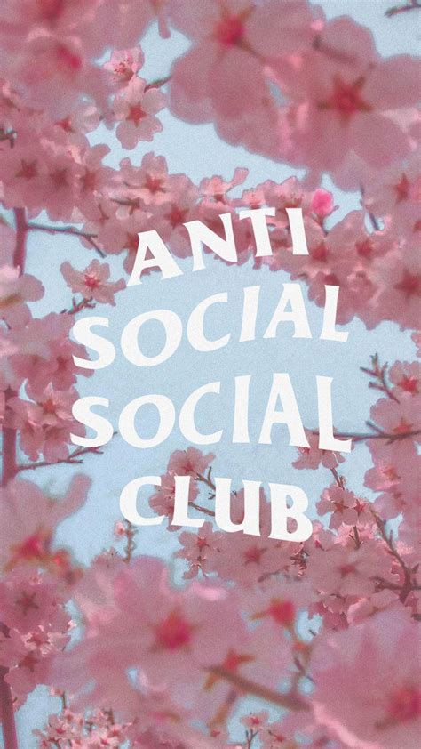 Top 999+ Anti Social Social Club Wallpaper Full HD, 4K Free to Use