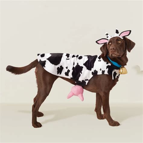 Cow Dog Costume | Best Target Pet Halloween Costumes 2018 | POPSUGAR Family Photo 10