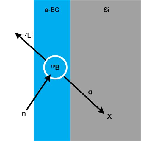 (Color online) Depiction of neutron capture by a 10 B isotope resulting... | Download Scientific ...