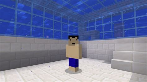 Swimming Pool Minecraft Map