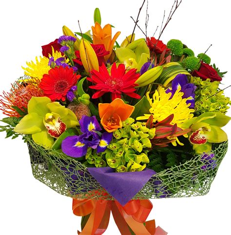 Bright Vox Bouquet | Free Flower Delivery Auckland