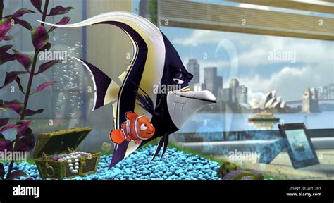 NEMO,GILL, FINDING NEMO, 2003 Stock Photo - Alamy