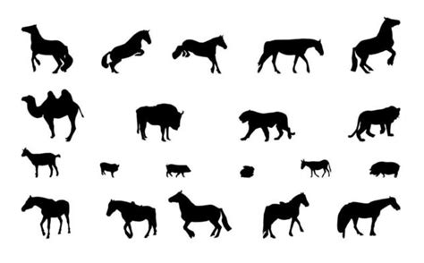 Mountain Lion Silhouette Vector Art, Icons, and Graphics for Free Download