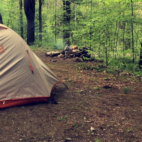 Mt. Greylock Campsite Park Camping | The Dyrt