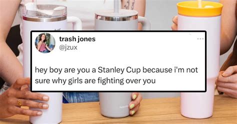 20+ Funny Stanley Cup Memes To Keep You Sipping And Smirking Through The Mug Madness