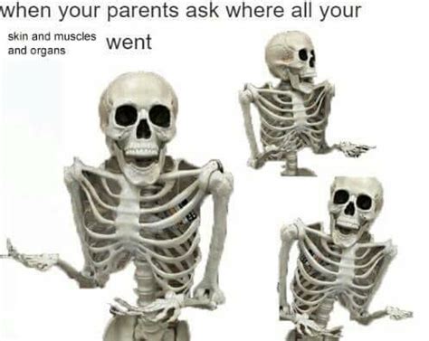 50+ Hilarious Skeleton Memes To Get You Into The Spooktober Spirit