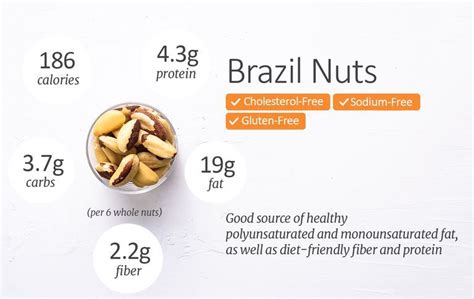 Brazil Nuts Nutrition Facts – How Much Protein is in Brazil Nuts? - Nutsaholic