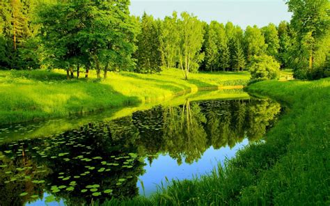 Green Landscape Wallpapers - Top Free Green Landscape Backgrounds - WallpaperAccess