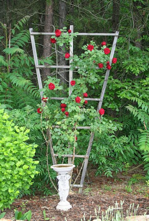 Seven Oaks, Home and Garden Joy: How to Build a Trellis for Climbing Roses