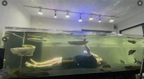 Man In Japan Has 3m-Long Aquarium In His House That He Swims In — Yes, With His Fish - 8days