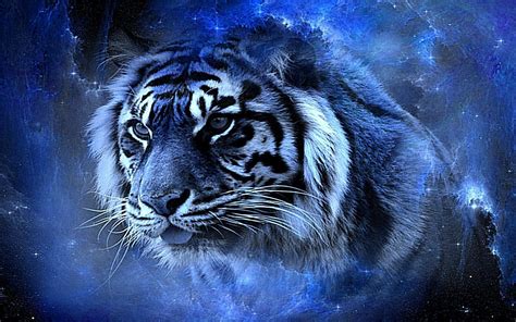 Cool Tiger Backgrounds - Wallpaper Cave