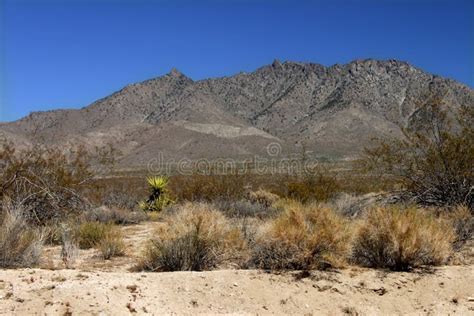 Mojave Desert - Southern California Stock Photo - Image: 16644158