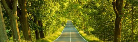 Road To Nature - LinkedIn Background - Get some inspiration!