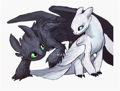 Wefalling: Night Fury Light Fury Dragon Drawing Toothless