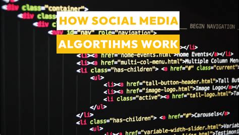 How do social media algorithms work?