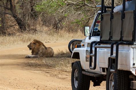 Safari Parks near Durban, South Africa - Hluhluwe Game Reserve