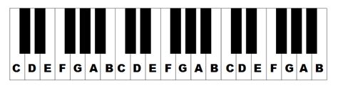 Piano Keys Labeled: The Layout Of Notes On The Keyboard