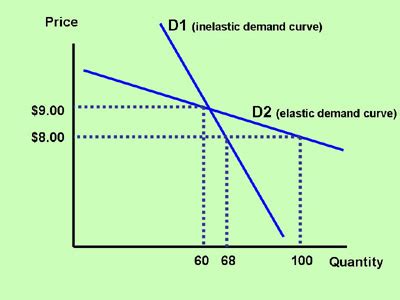 Section 2: Elasticity and the Slope of the Demand Curve | Inflate Your Mind