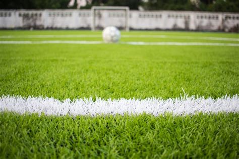 4 Best Grass Types For Soccer Fields (2023 Guide)