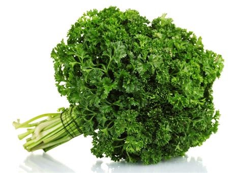 Parsley Curly - Early 'N' Fresh