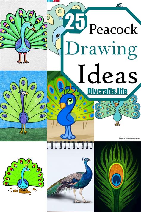 Aggregate more than 145 peacock in drawing latest - vietkidsiq.edu.vn