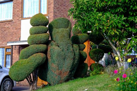 Gardener faces police action for rude topiary | The Independent